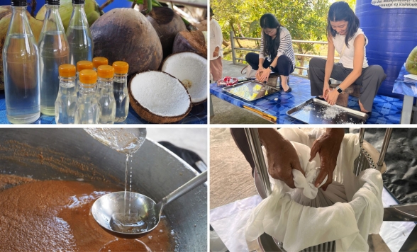 オーガニックココナッツオイル作り＆タイ伝統菓子「カノムトム」づくり